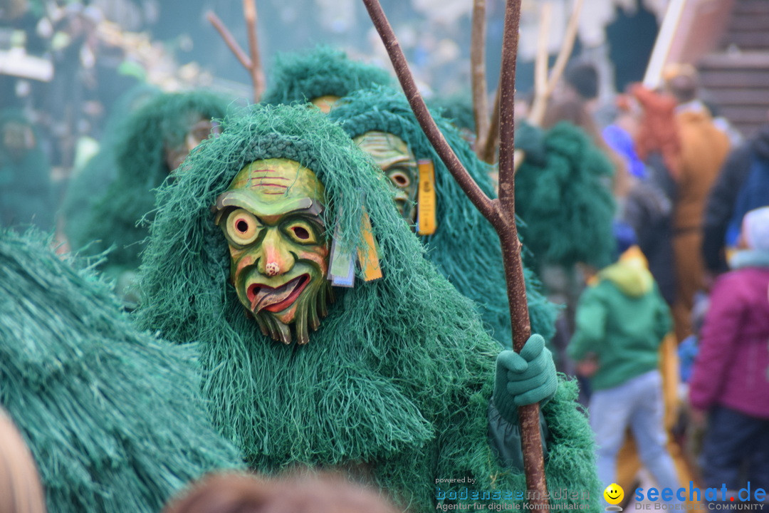 Grosser Narrensprung: Friedrichshafen am Bodensee, 02.03.2019