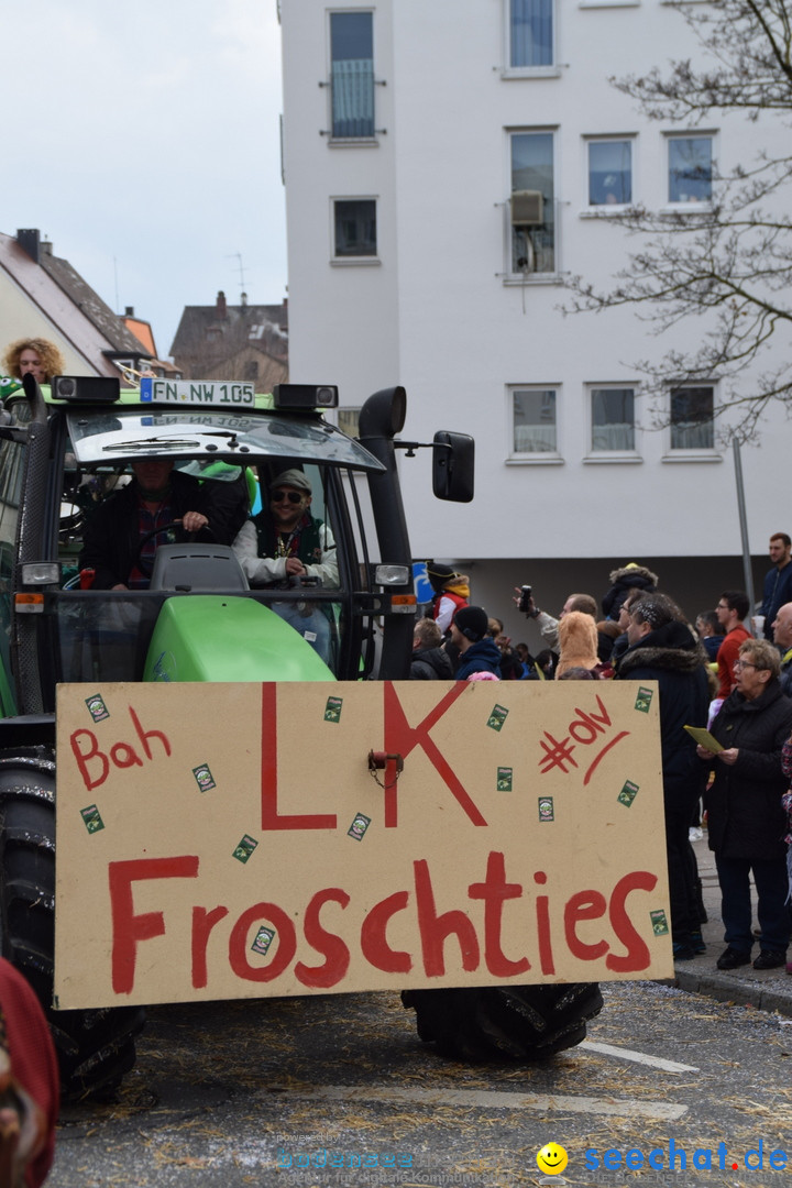 Grosser Narrensprung: Friedrichshafen am Bodensee, 02.03.2019