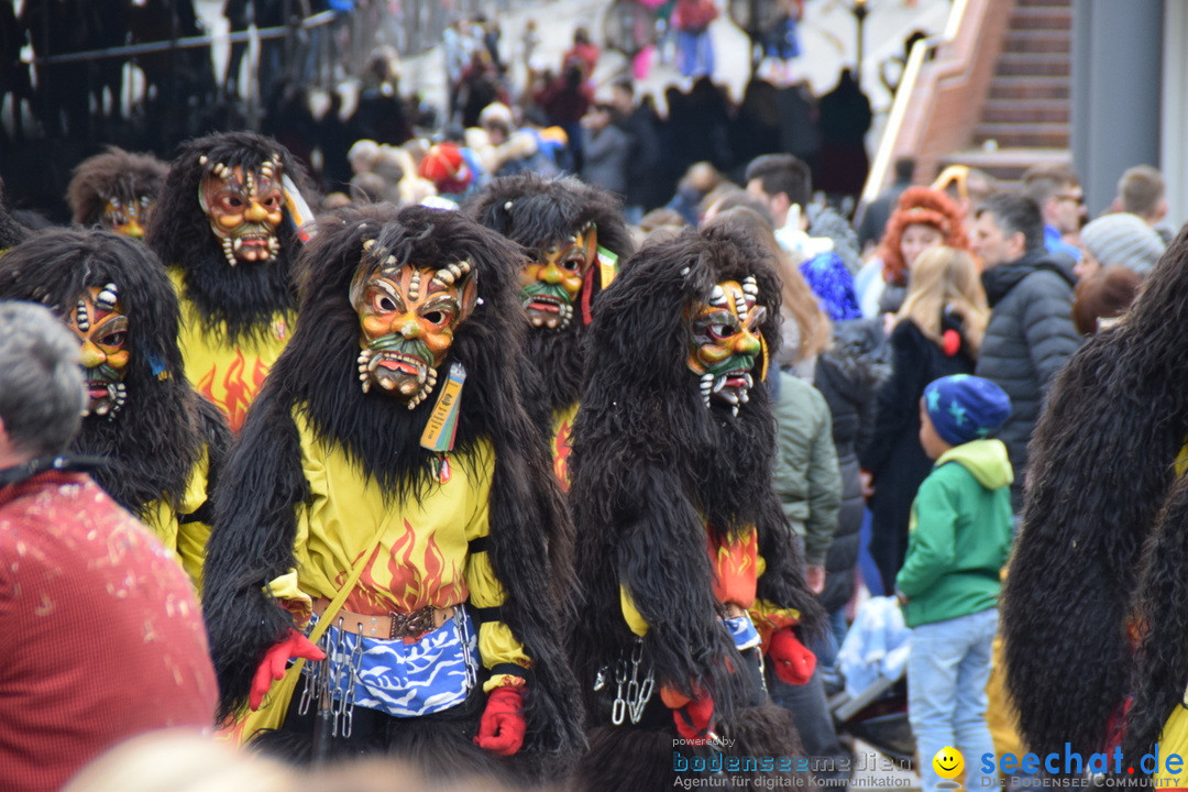 Grosser Narrensprung: Friedrichshafen am Bodensee, 02.03.2019