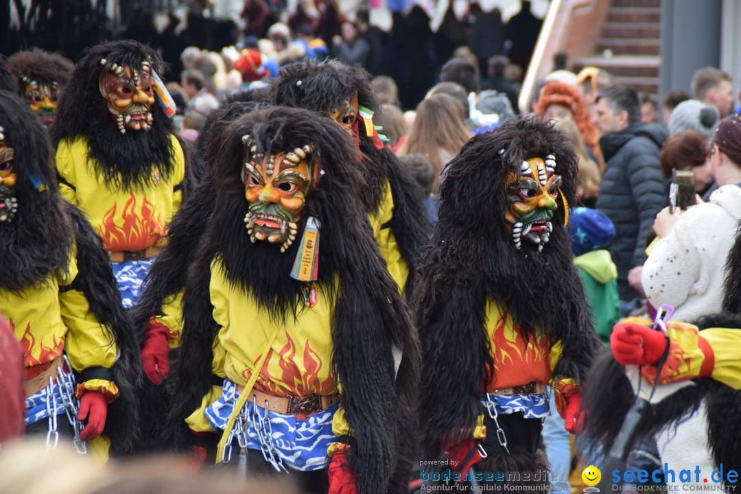 Grosser Narrensprung: Friedrichshafen am Bodensee, 02.03.2019