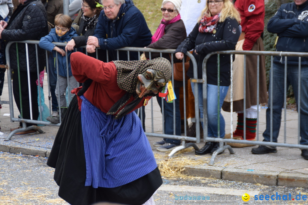 Grosser Narrensprung: Friedrichshafen am Bodensee, 02.03.2019