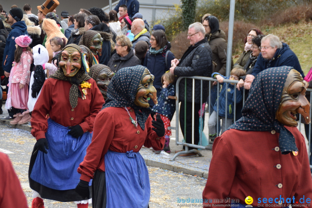 Grosser Narrensprung: Friedrichshafen am Bodensee, 02.03.2019