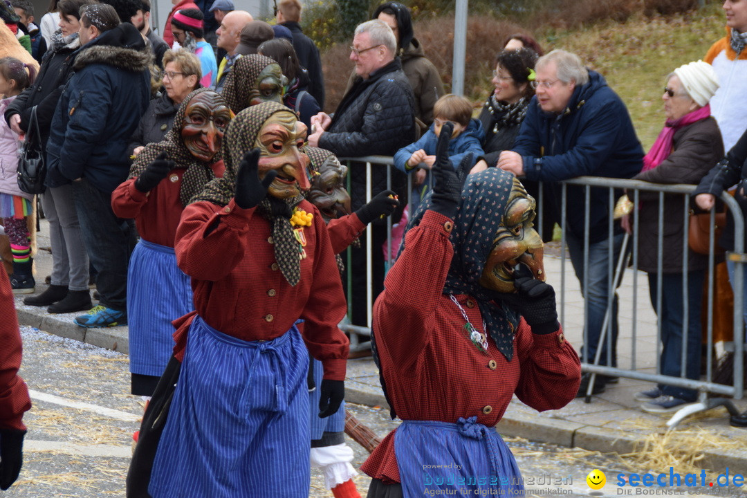 Grosser Narrensprung: Friedrichshafen am Bodensee, 02.03.2019