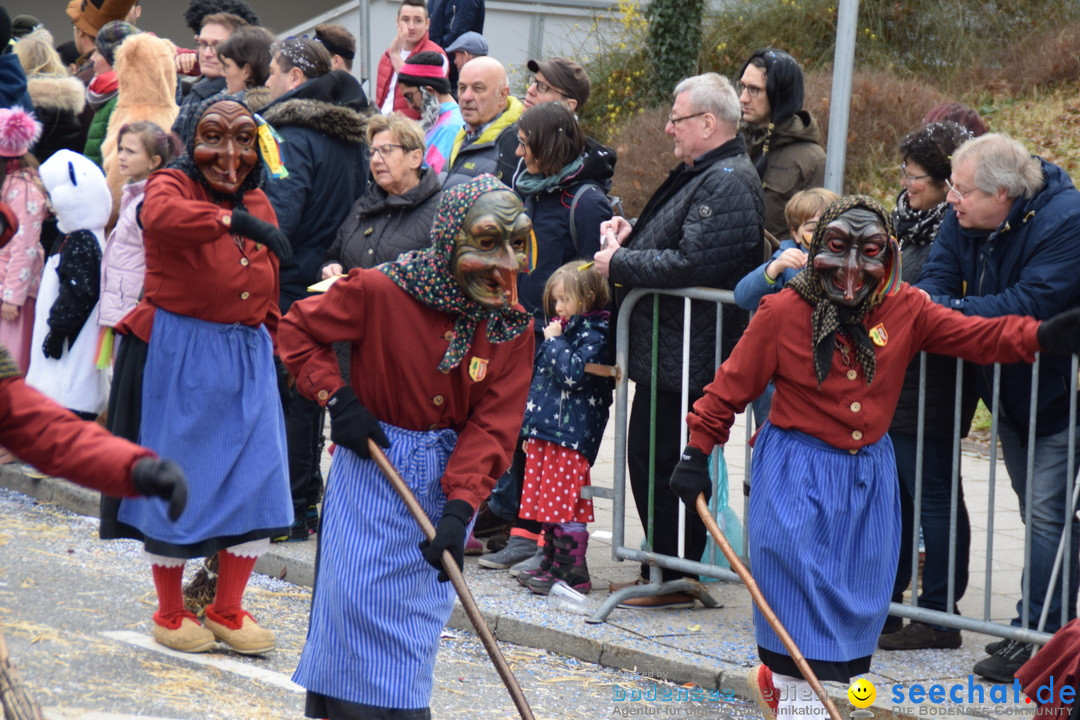 Grosser Narrensprung: Friedrichshafen am Bodensee, 02.03.2019