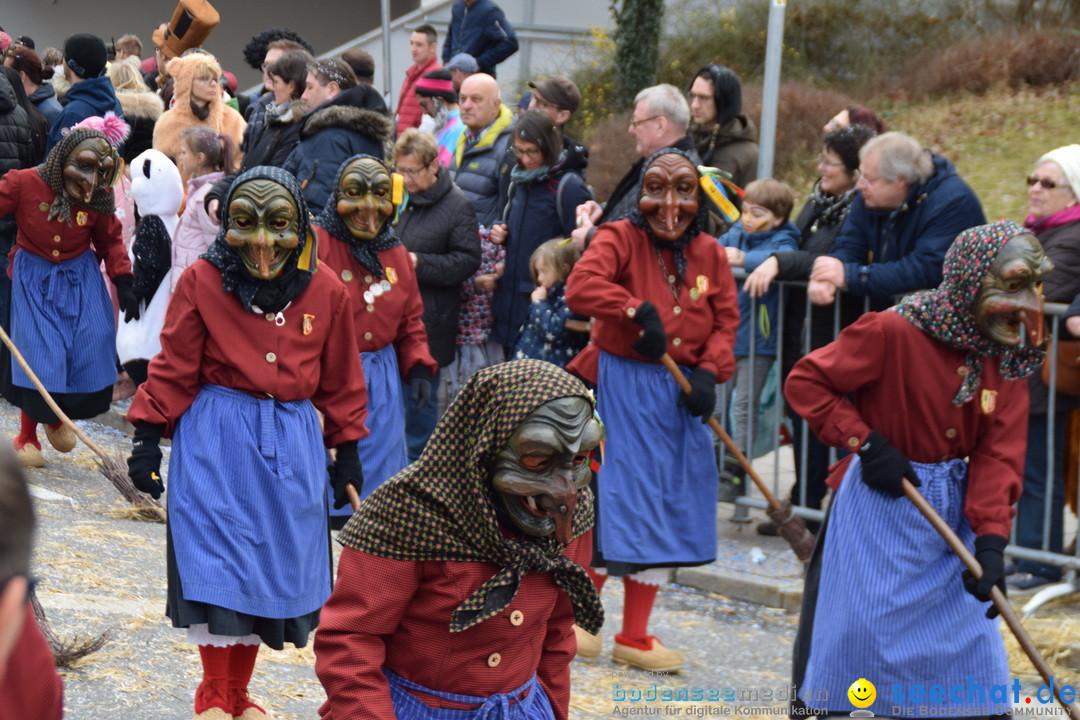 Grosser Narrensprung: Friedrichshafen am Bodensee, 02.03.2019