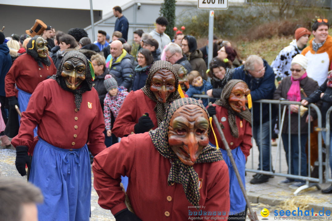 Grosser Narrensprung: Friedrichshafen am Bodensee, 02.03.2019