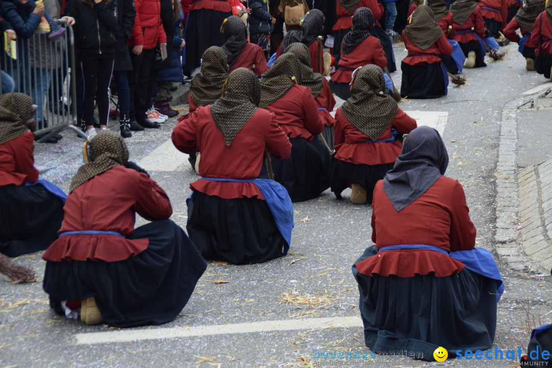 Grosser Narrensprung: Friedrichshafen am Bodensee, 02.03.2019