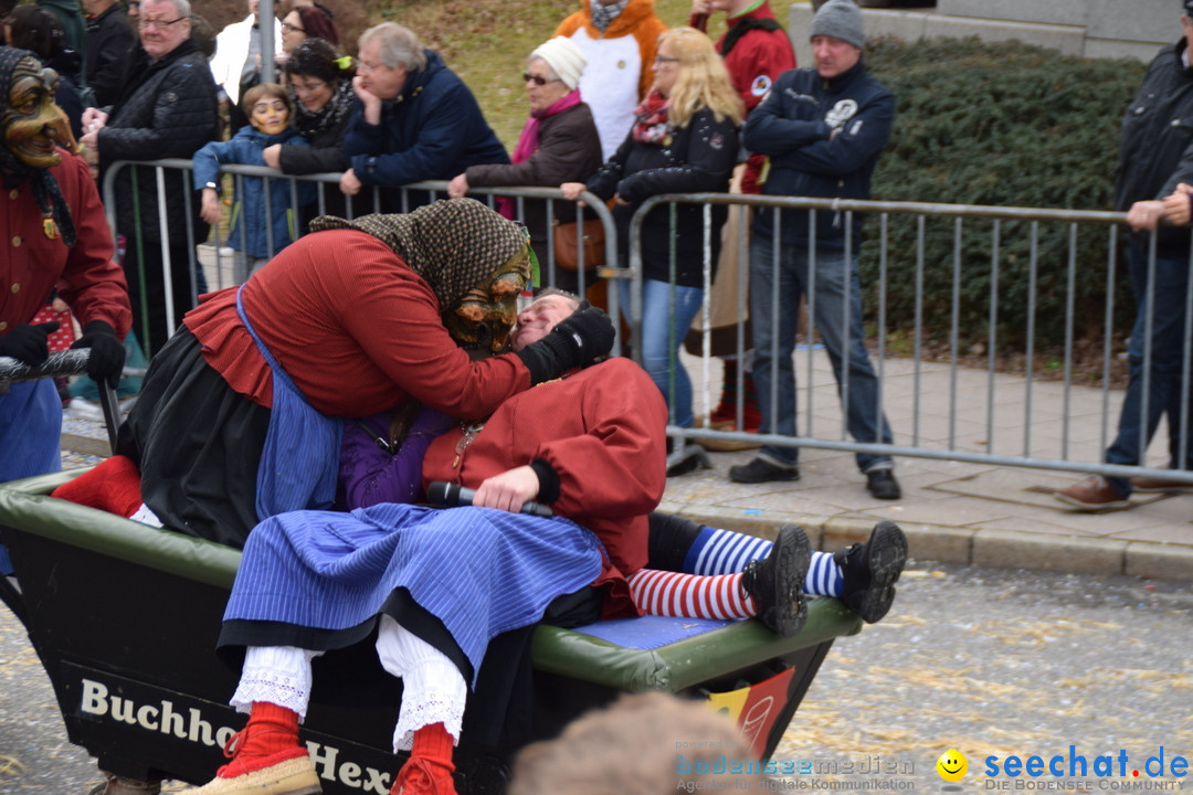 Grosser Narrensprung: Friedrichshafen am Bodensee, 02.03.2019