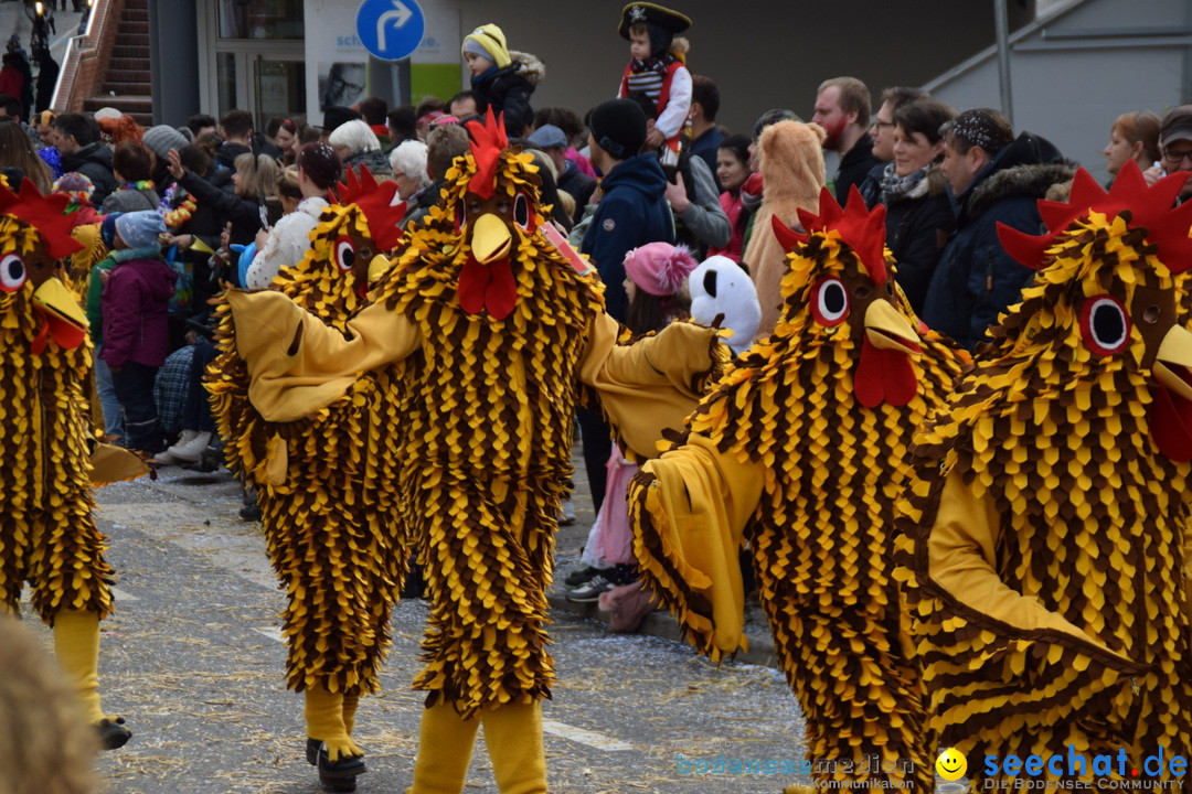 Grosser Narrensprung: Friedrichshafen am Bodensee, 02.03.2019