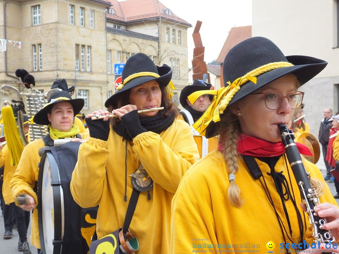 HANSELSPRUNG: Fasnet im Schwarzwald - Schramberg, 03.03.2019