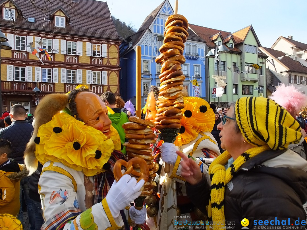 HANSELSPRUNG: Fasnet im Schwarzwald - Schramberg, 03.03.2019