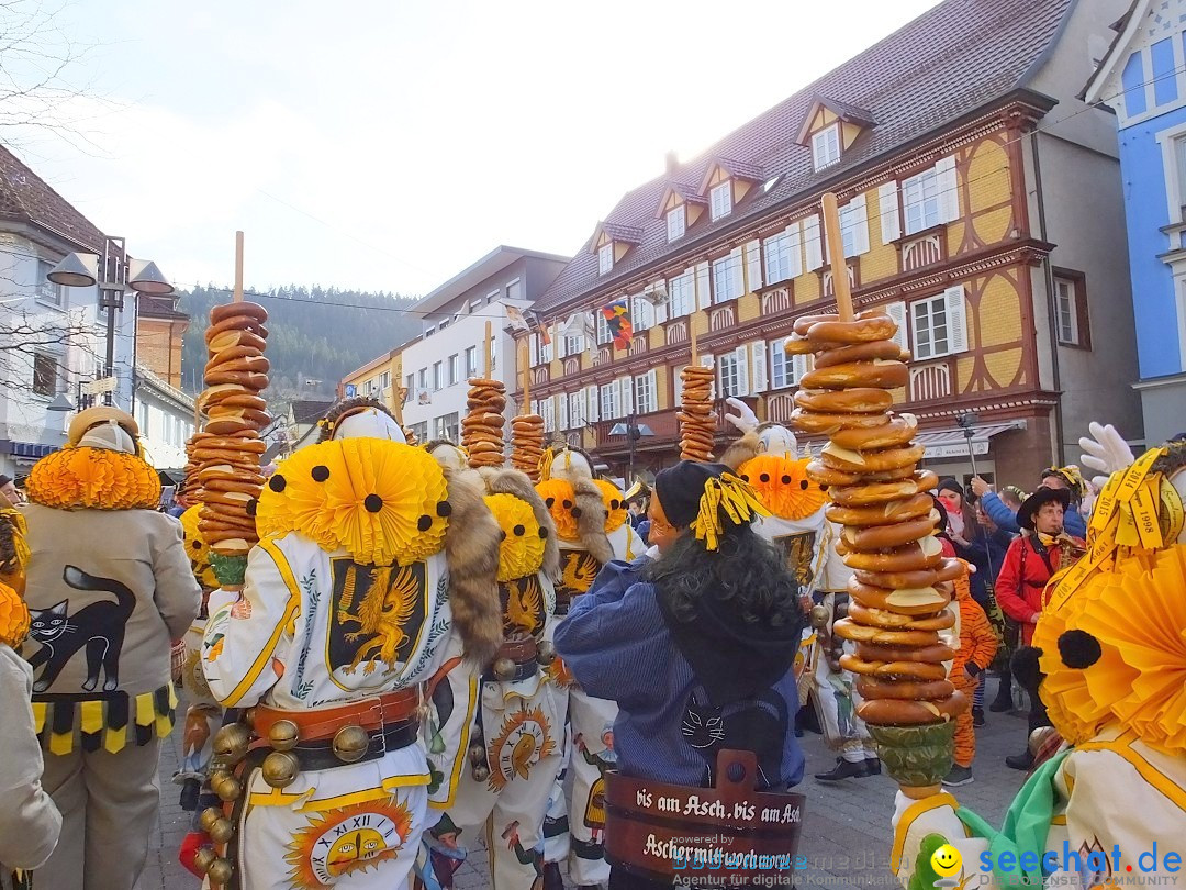 HANSELSPRUNG: Fasnet im Schwarzwald - Schramberg, 03.03.2019