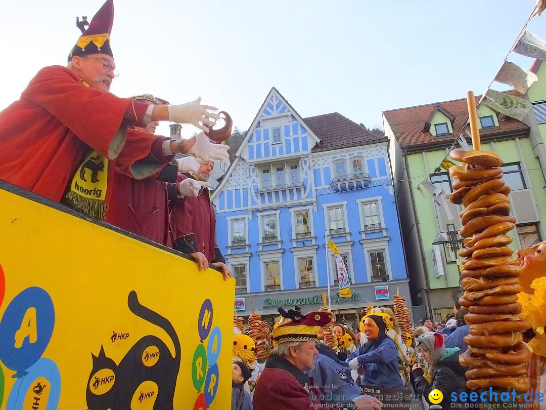 HANSELSPRUNG: Fasnet im Schwarzwald - Schramberg, 03.03.2019