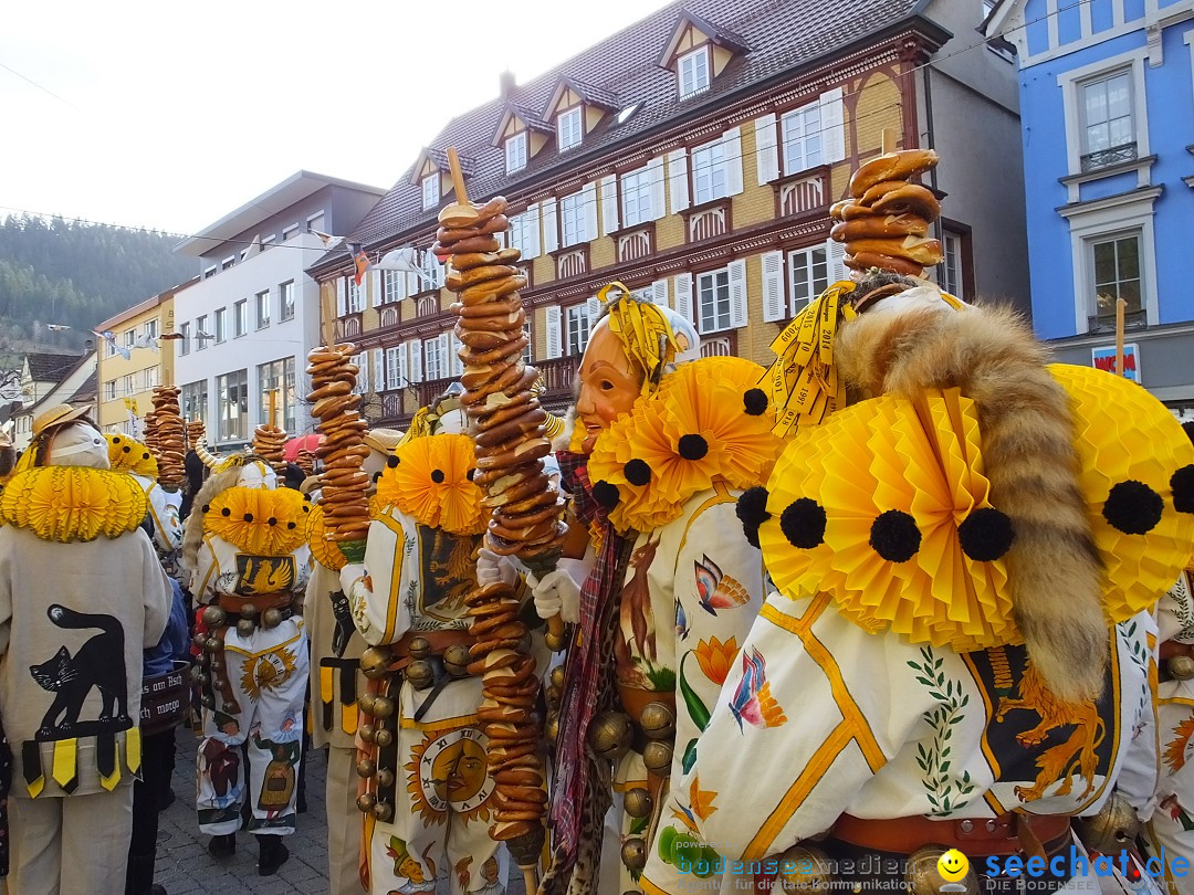 HANSELSPRUNG: Fasnet im Schwarzwald - Schramberg, 03.03.2019