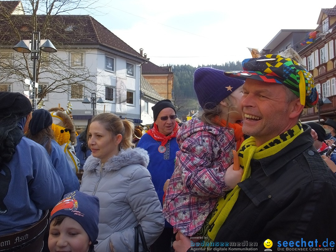 HANSELSPRUNG: Fasnet im Schwarzwald - Schramberg, 03.03.2019