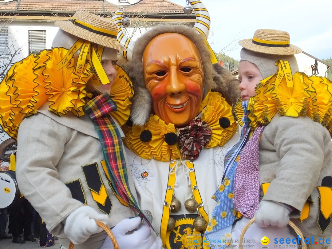 HANSELSPRUNG: Fasnet im Schwarzwald - Schramberg, 03.03.2019