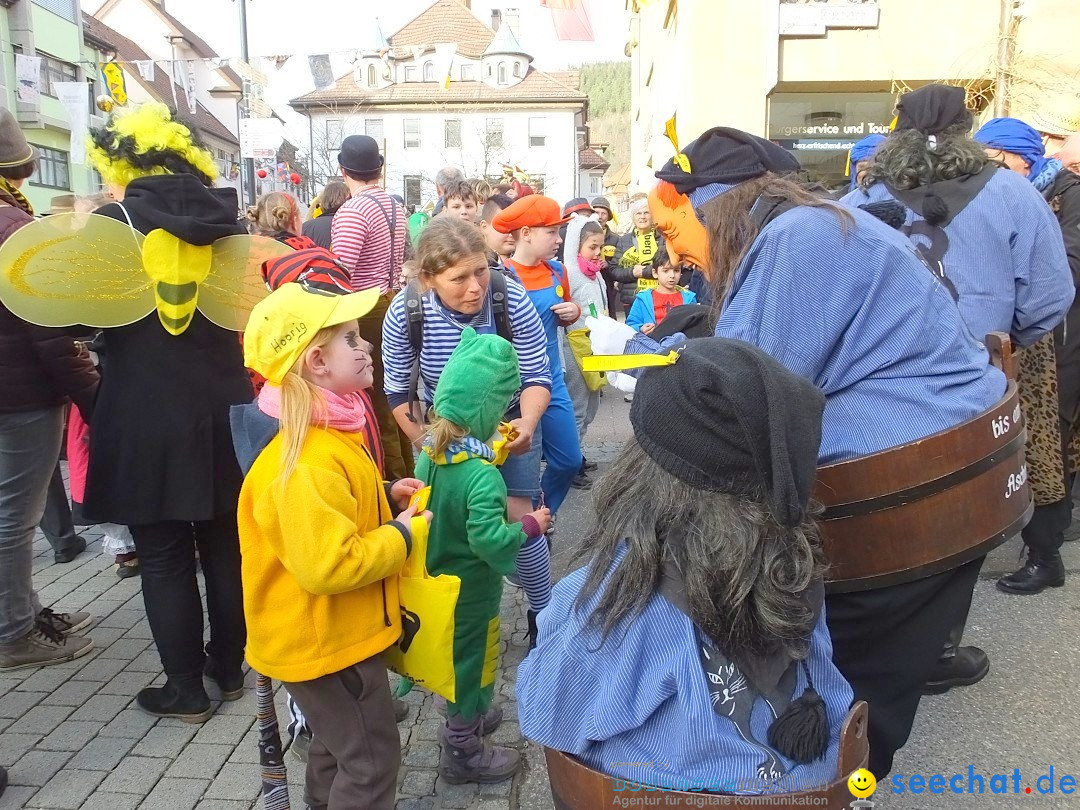 HANSELSPRUNG: Fasnet im Schwarzwald - Schramberg, 03.03.2019