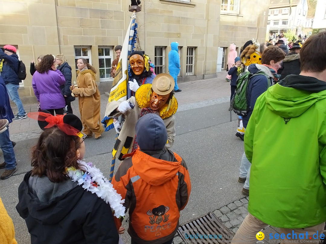 HANSELSPRUNG: Fasnet im Schwarzwald - Schramberg, 03.03.2019