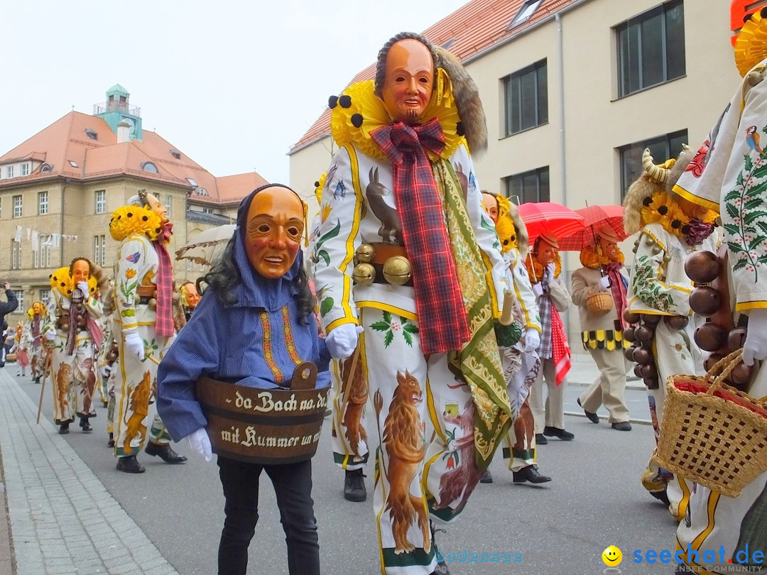 HANSELSPRUNG: Fasnet im Schwarzwald - Schramberg, 03.03.2019