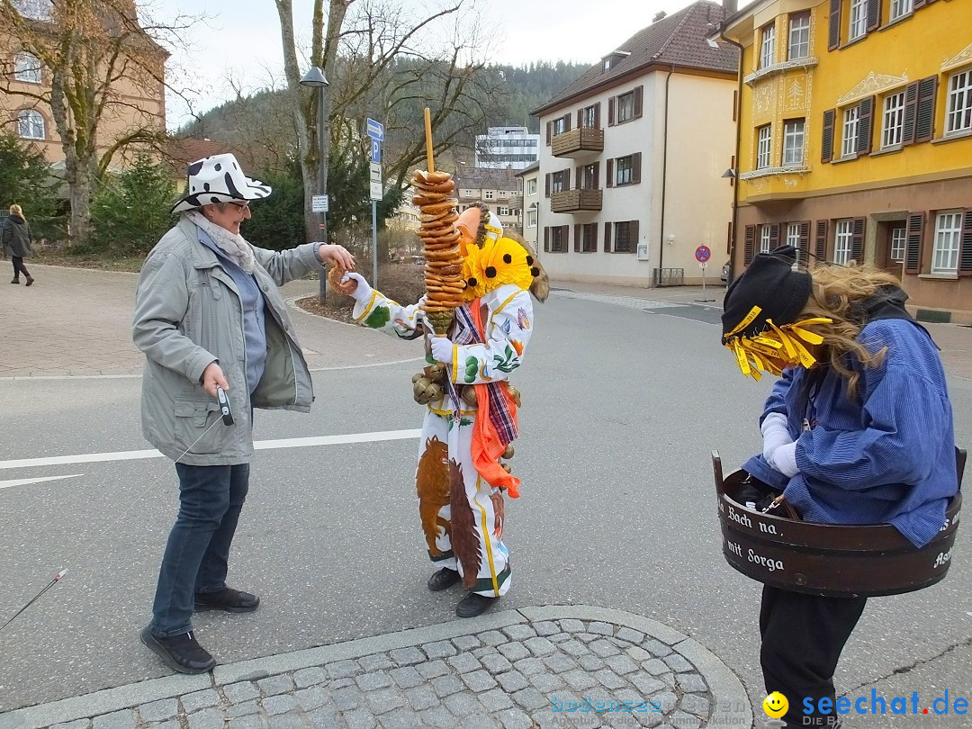 HANSELSPRUNG: Fasnet im Schwarzwald - Schramberg, 03.03.2019