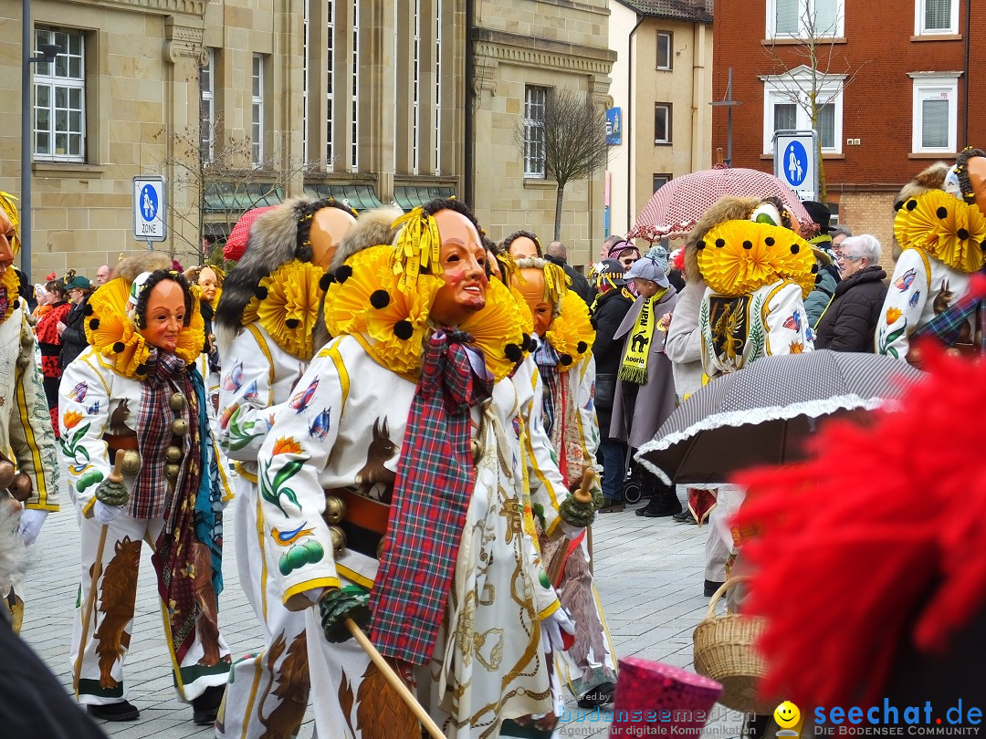 HANSELSPRUNG: Fasnet im Schwarzwald - Schramberg, 03.03.2019