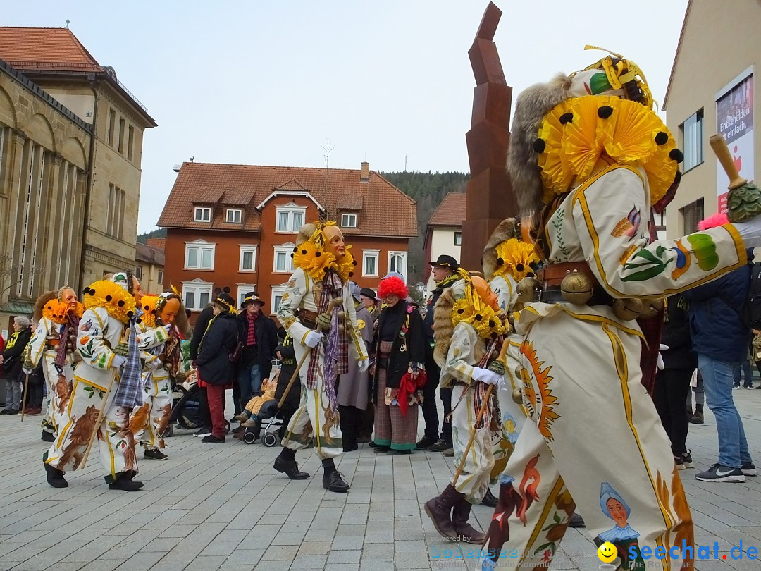 HANSELSPRUNG: Fasnet im Schwarzwald - Schramberg, 03.03.2019