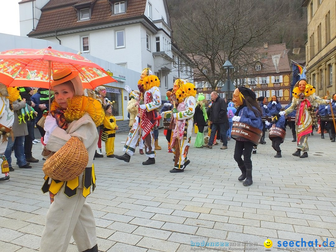 HANSELSPRUNG: Fasnet im Schwarzwald - Schramberg, 03.03.2019