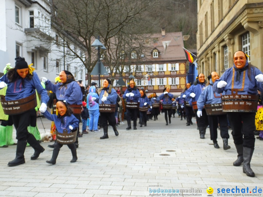 HANSELSPRUNG: Fasnet im Schwarzwald - Schramberg, 03.03.2019