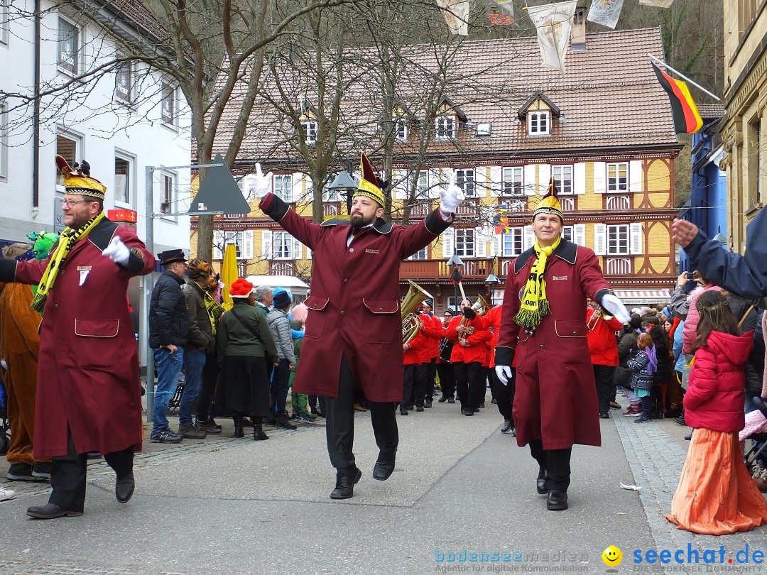 HANSELSPRUNG: Fasnet im Schwarzwald - Schramberg, 03.03.2019