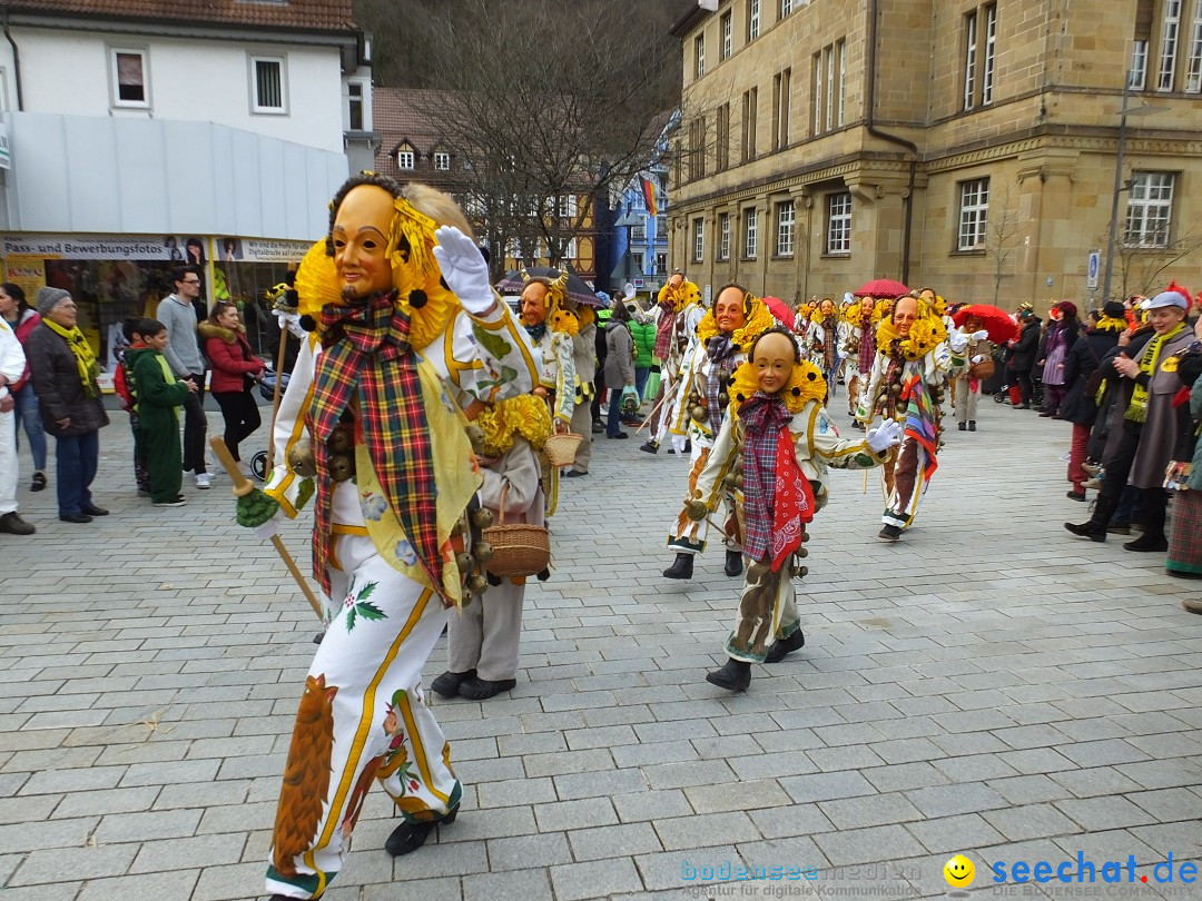 HANSELSPRUNG: Fasnet im Schwarzwald - Schramberg, 03.03.2019