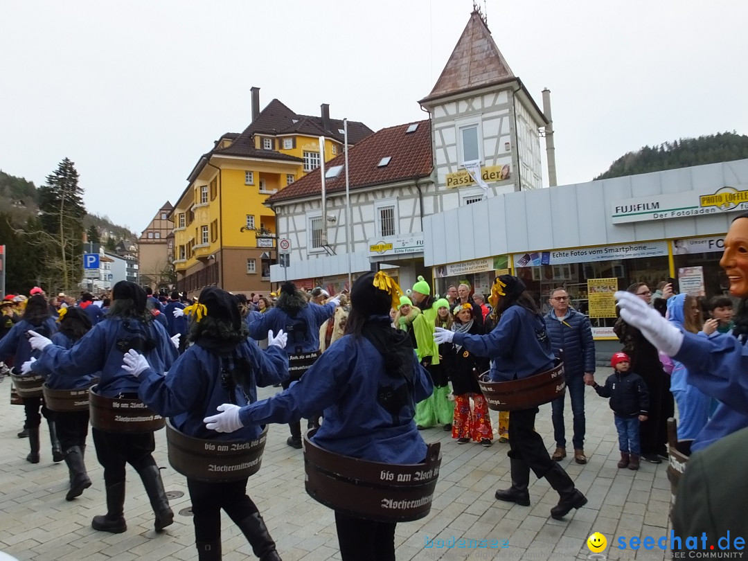 HANSELSPRUNG: Fasnet im Schwarzwald - Schramberg, 03.03.2019