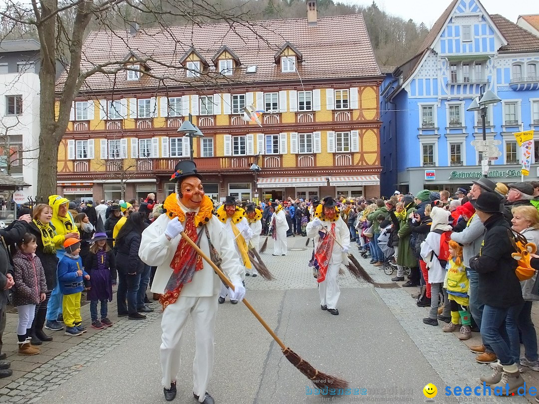 HANSELSPRUNG: Fasnet im Schwarzwald - Schramberg, 03.03.2019