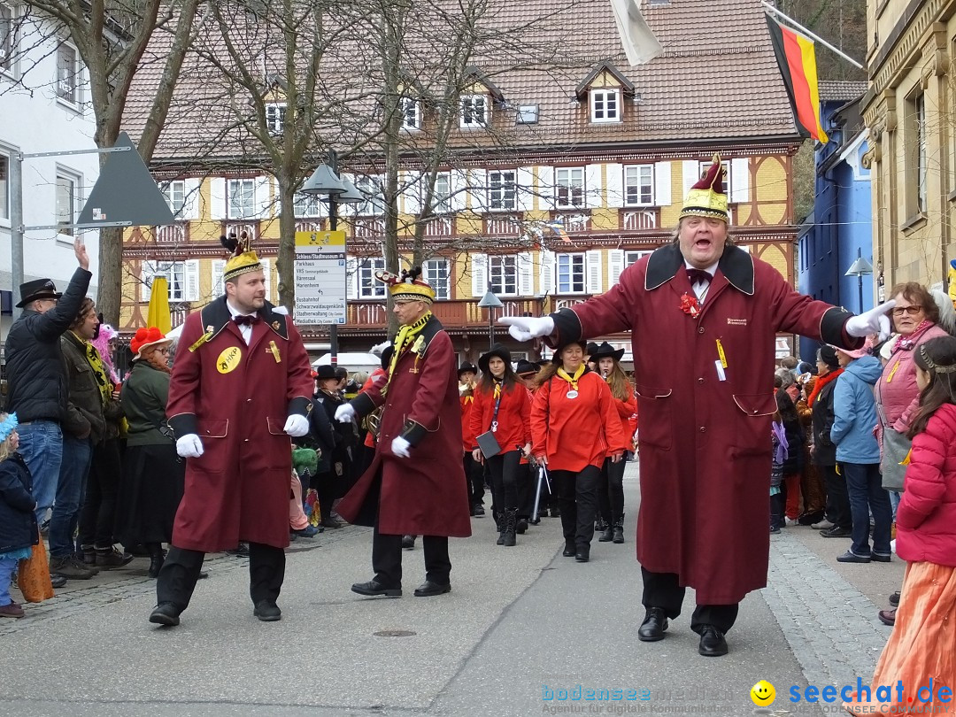 HANSELSPRUNG: Fasnet im Schwarzwald - Schramberg, 03.03.2019