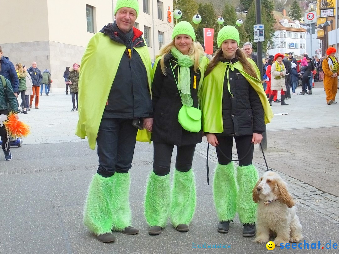 HANSELSPRUNG: Fasnet im Schwarzwald - Schramberg, 03.03.2019