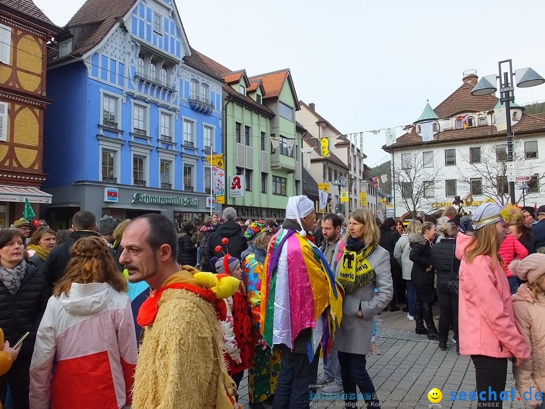 HANSELSPRUNG: Fasnet im Schwarzwald - Schramberg, 03.03.2019