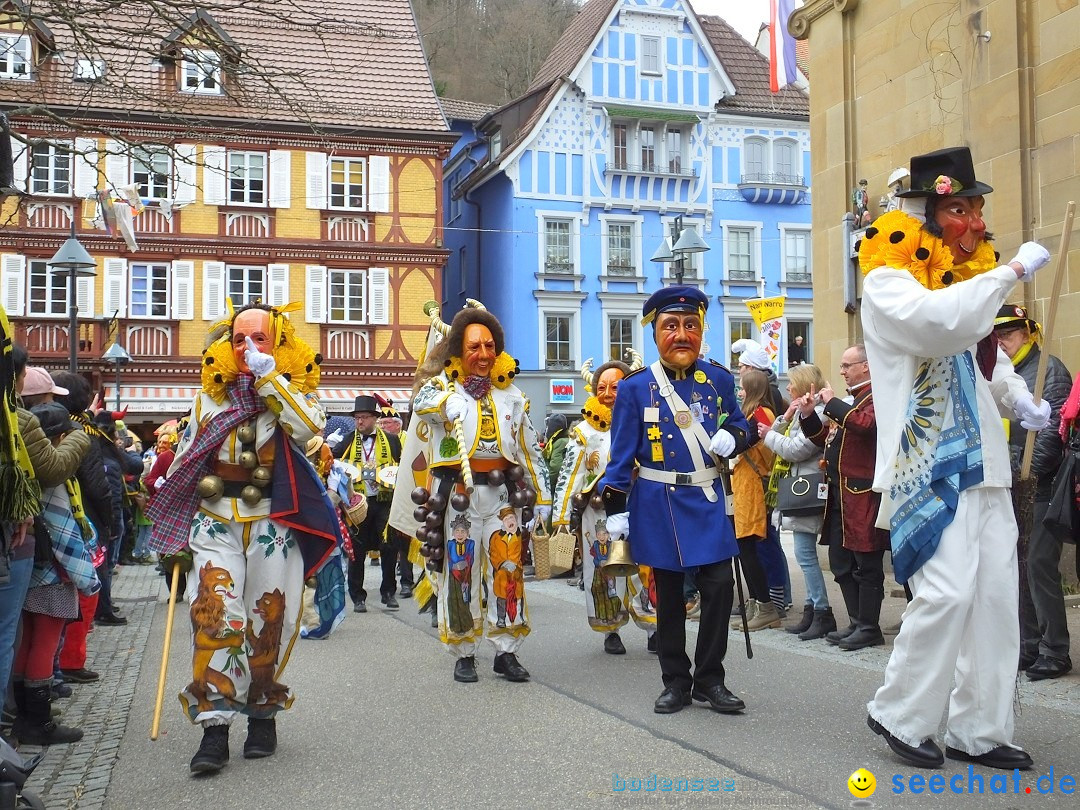 HANSELSPRUNG: Fasnet im Schwarzwald - Schramberg, 03.03.2019