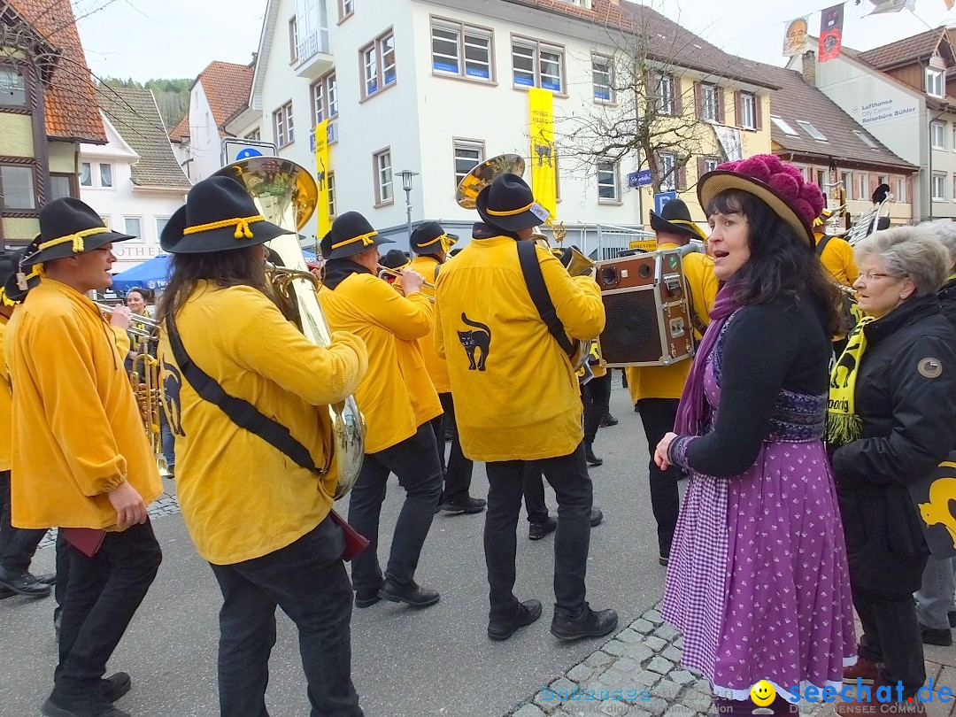 HANSELSPRUNG: Fasnet im Schwarzwald - Schramberg, 03.03.2019