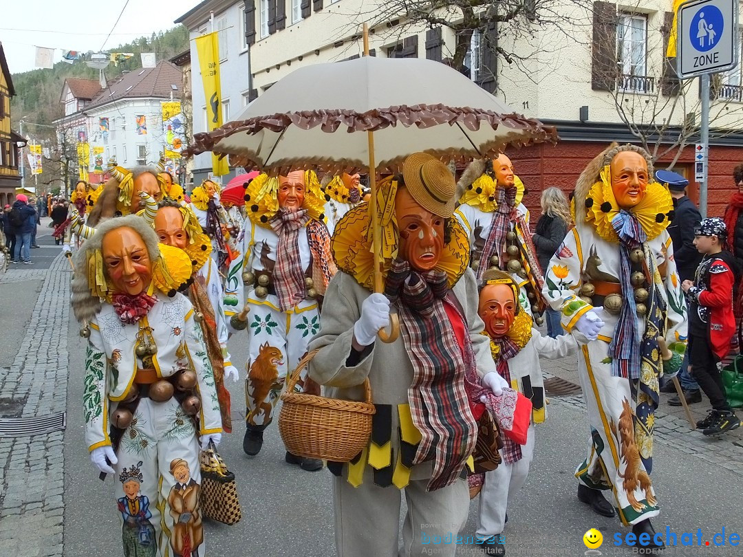 HANSELSPRUNG: Fasnet im Schwarzwald - Schramberg, 03.03.2019