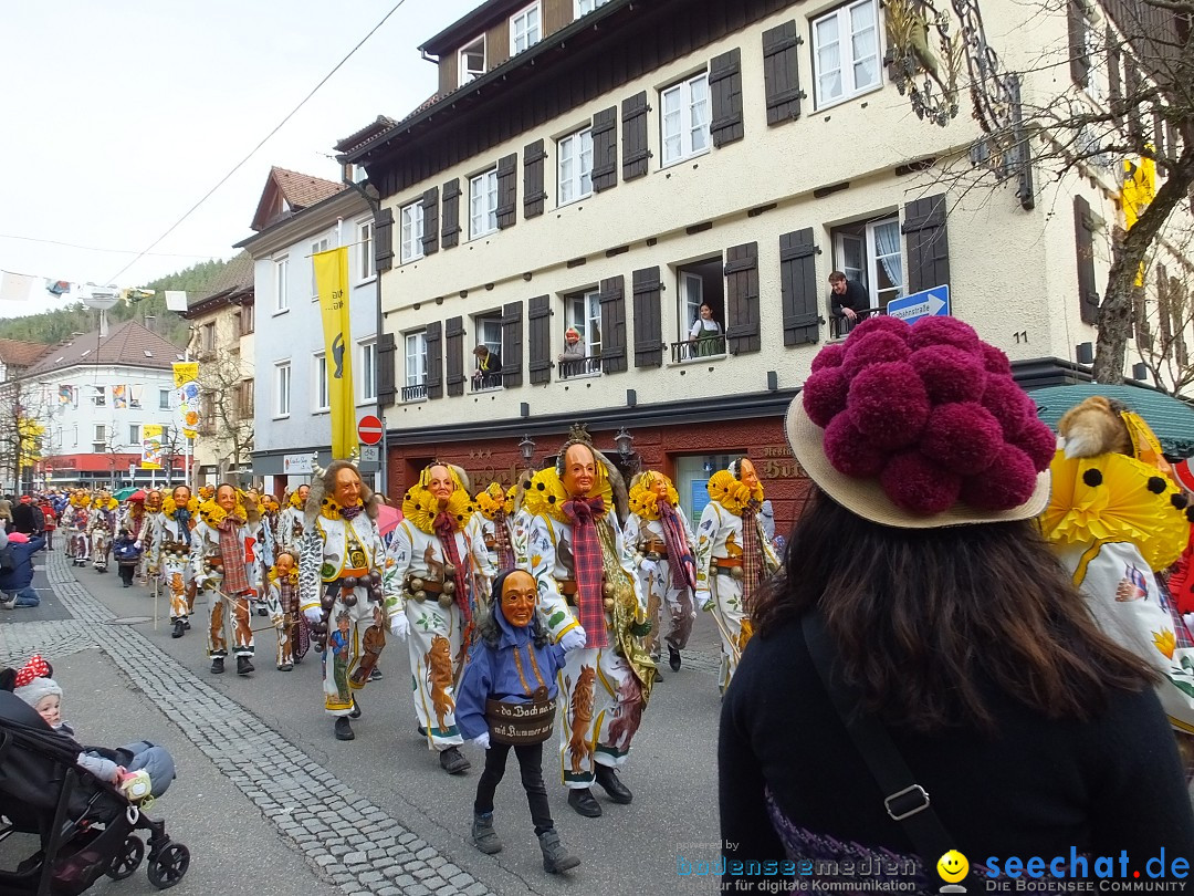 HANSELSPRUNG: Fasnet im Schwarzwald - Schramberg, 03.03.2019