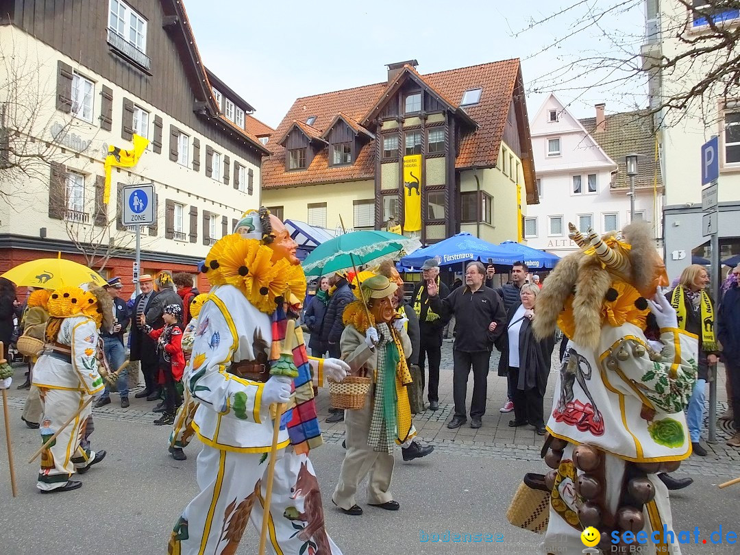 HANSELSPRUNG: Fasnet im Schwarzwald - Schramberg, 03.03.2019