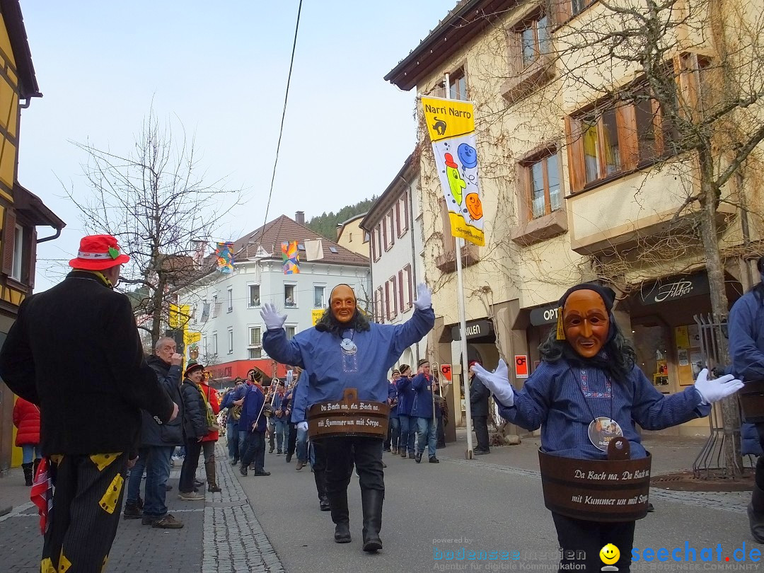 HANSELSPRUNG: Fasnet im Schwarzwald - Schramberg, 03.03.2019