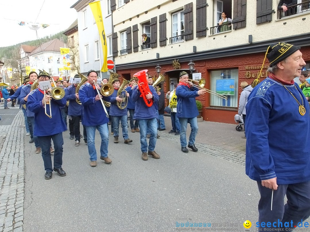 HANSELSPRUNG: Fasnet im Schwarzwald - Schramberg, 03.03.2019