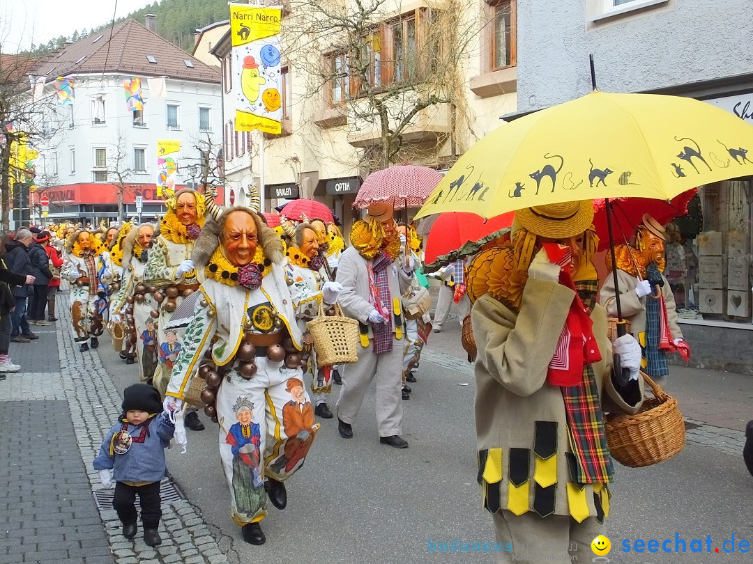 HANSELSPRUNG: Fasnet im Schwarzwald - Schramberg, 03.03.2019