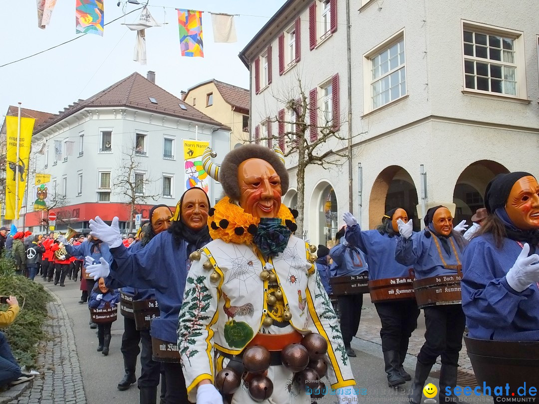 HANSELSPRUNG: Fasnet im Schwarzwald - Schramberg, 03.03.2019