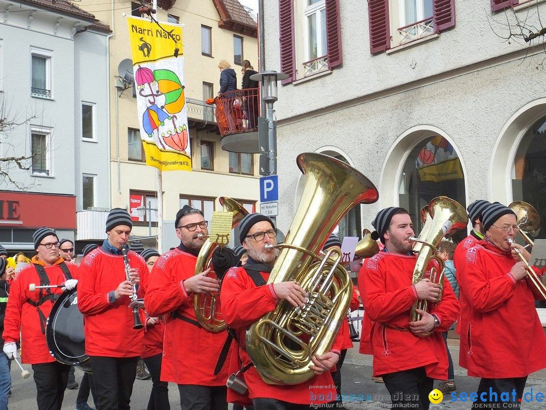 HANSELSPRUNG: Fasnet im Schwarzwald - Schramberg, 03.03.2019