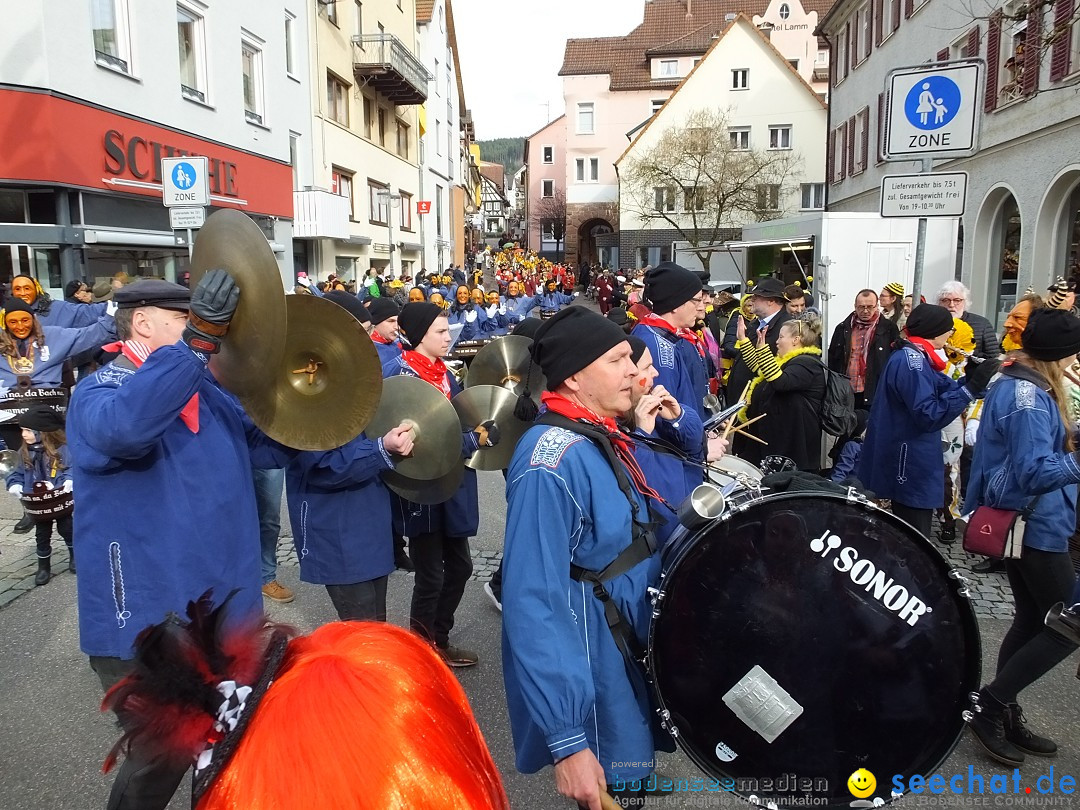 HANSELSPRUNG: Fasnet im Schwarzwald - Schramberg, 03.03.2019