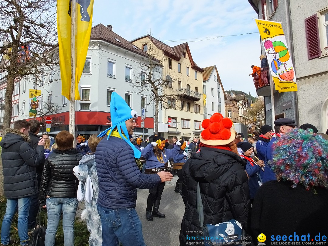 HANSELSPRUNG: Fasnet im Schwarzwald - Schramberg, 03.03.2019