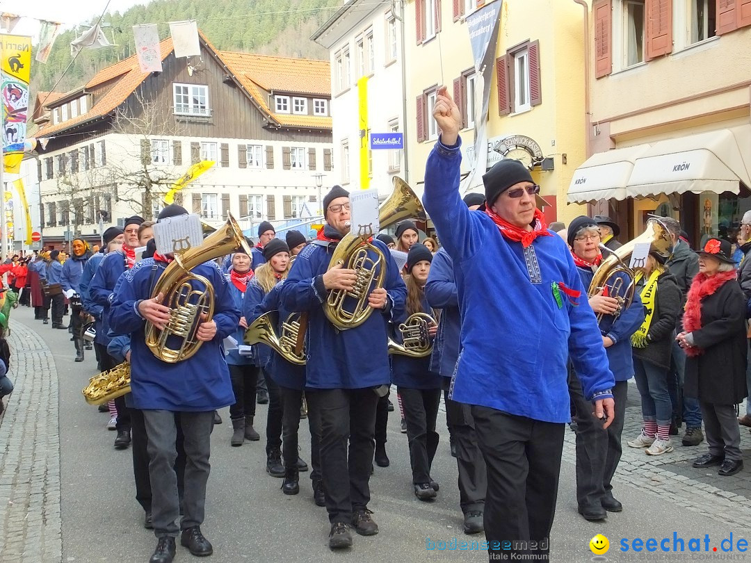 HANSELSPRUNG: Fasnet im Schwarzwald - Schramberg, 03.03.2019