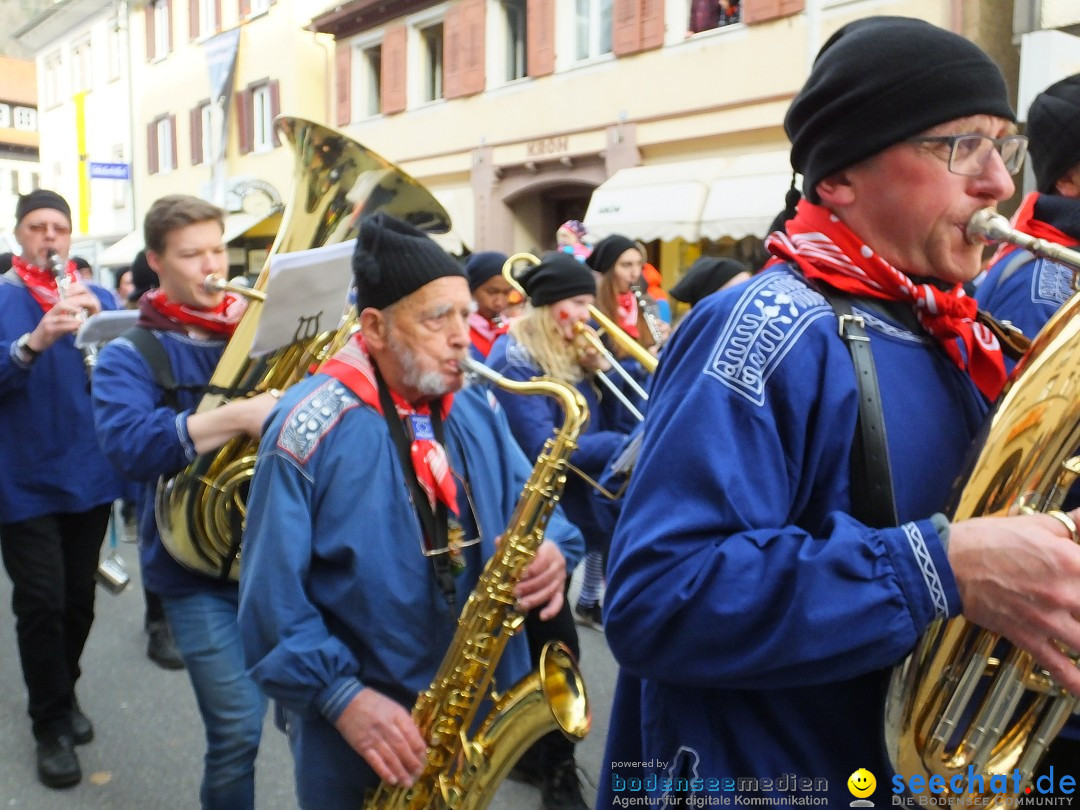 HANSELSPRUNG: Fasnet im Schwarzwald - Schramberg, 03.03.2019