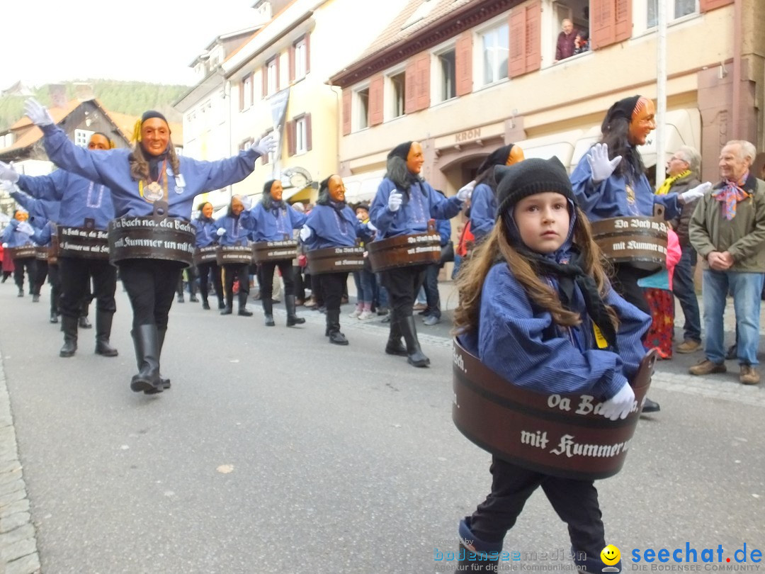 HANSELSPRUNG: Fasnet im Schwarzwald - Schramberg, 03.03.2019